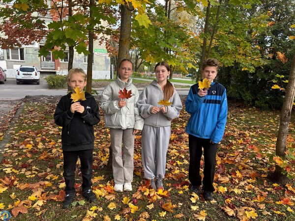 Экоуроки «В гостях у природы»